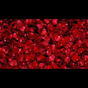 Meet your Posher, Nikky